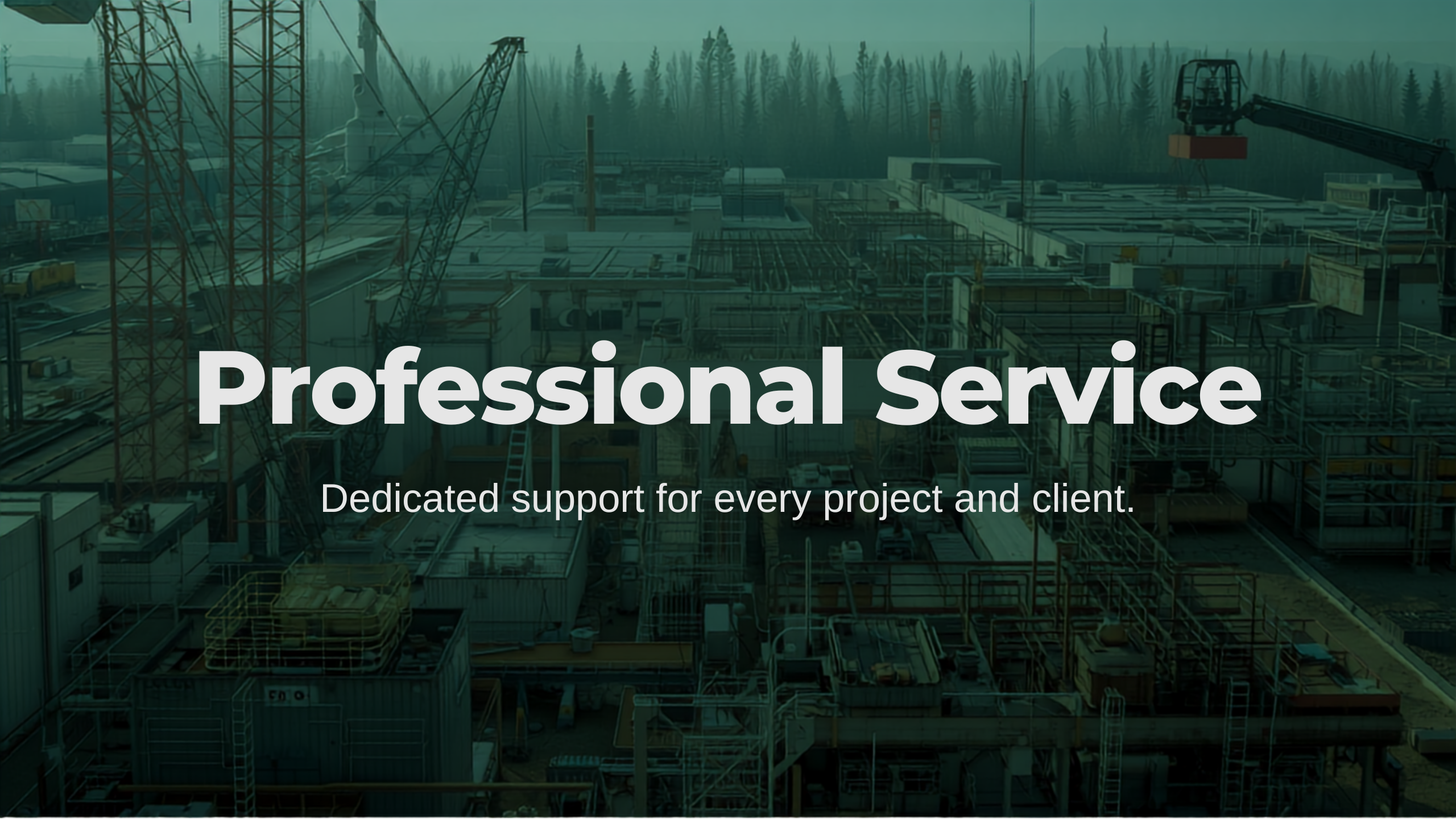Professional Service